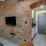Underground Level Apartments Strzalowa By Renters